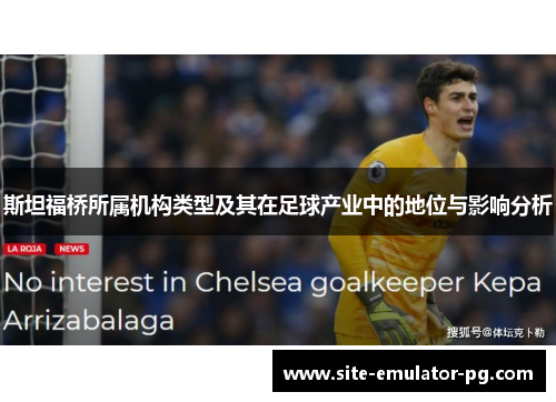 斯坦福桥所属机构类型及其在足球产业中的地位与影响分析