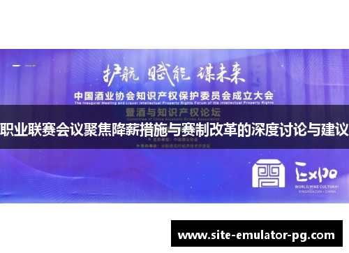 职业联赛会议聚焦降薪措施与赛制改革的深度讨论与建议