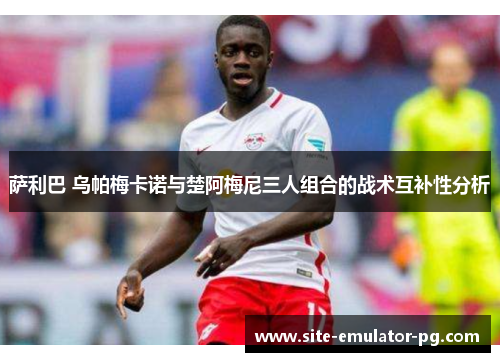 萨利巴 乌帕梅卡诺与楚阿梅尼三人组合的战术互补性分析