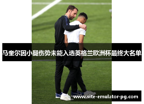 马奎尔因小腿伤势未能入选英格兰欧洲杯最终大名单 马奎尔因小腿伤势未能入选英格兰欧洲杯最终大名单