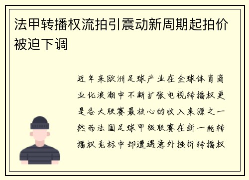 法甲转播权流拍引震动新周期起拍价被迫下调 法甲转播权流拍引震动新周期起拍价被迫下调