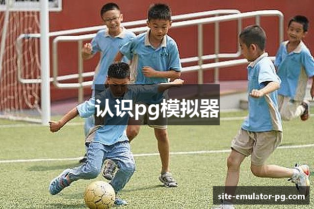 认识pg模拟器